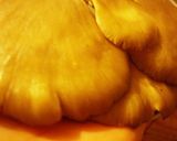 鶏ｋｉｎｏｋｏ作り方2写真
