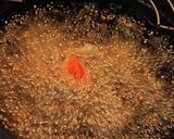 豚バラ肉と秋の根菜～こってり甘辛揚げ作り方5写真