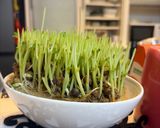 べーコンと豆苗の焼いたもの作り方1写真