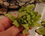 白味噌で作るばんけ味噌（関西風？）作り方1写真
