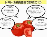 ダイエットパスタ･夏野菜の冷製ボロネーゼ作り方28写真