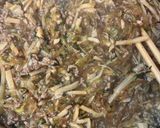 白菜と水菜のとろとろ春巻き作り方7写真