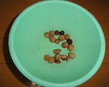 秋の味覚?どんぐりパン作り方3写真