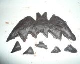 ハロウィンに☆コウモリパン作り方7写真