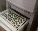 うまーい♬ひとくち青汁アイス作り方4写真