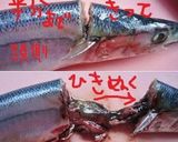 幼児も激食〰骨ごとさんま煮カレー仕上げ作り方1写真