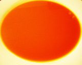 鮭パッチョ？作り方5写真