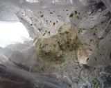 冷凍シュウマイの磯辺揚げお弁当用作り方3写真