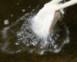 すなぎも唐揚作り方15写真