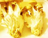 白い鶏作り方1写真