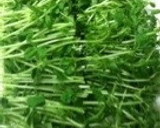 豆苗・エリンギ・鶏ささみのソテー作り方3写真