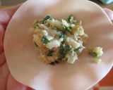 おつまみ？おかず？やみつき白菜餃子作り方3写真