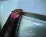 焼きなす☆ポン酢おひたし作り方2写真