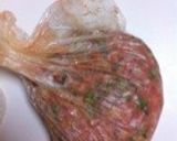 茄子の焼きつくね (ヘルシオ利用)作り方3写真