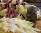 新生姜の佃煮作り方1写真