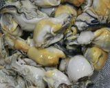 牡蠣のチャウダー作り方15写真