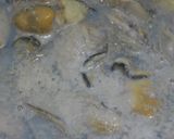 牡蠣のチャウダー作り方14写真