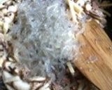 いくらでもいけるシンプル味の春巻き作り方2写真