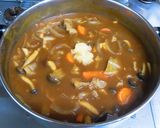 ウチの野菜たっぷりニンニクカレー作り方13写真