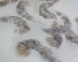 調理前の下ごしらえ♪冷凍エビ編作り方8写真