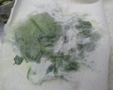 シャキ2＆栄養ばっちり水菜と法蓮草サラダ作り方2写真