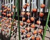 バーバの干し柿 作り方作り方6写真