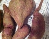 サツマイモ掘ったらホッとパウンドケーキ作り方7写真