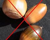 100%どんぐりコーヒー作り方2写真