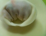 生姜たっぷり朝からぽかぽか水餃子作り方3写真