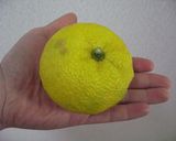 美味しいゆず皮の食べ方作り方1写真