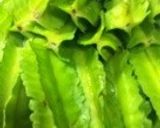 四角豆◇とぶた肉のニンニク炒め作り方2写真