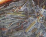わらびの生姜醤油漬け(かつお節入り)作り方6写真
