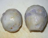 里芋のマヨネーズ焼作り方1写真