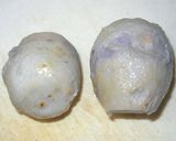 里芋の焼豚サンド・わさび風味作り方1写真