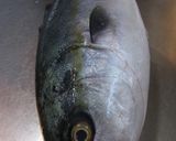イナダ丼とイナダのあら汁作り方1写真