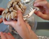 色々使える☆冷凍ミックスきのこ作り方3写真