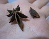 蒸し器なしでOK! 鶏の八角煮まん作り方12写真