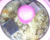 ニコパンで舞茸きのこご飯作り方3写真