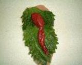 鶏ささみの春巻き作り方2写真