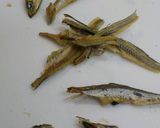 調理前の下ごしらえ♪昆布＋煮干し出汁作り方1写真