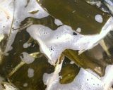調理前の下ごしらえ♪昆布＋煮干し出汁作り方7写真