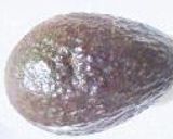 おいしくってきれいになる♪アボカドの前菜作り方1写真