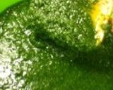 バジルソース作り方9写真