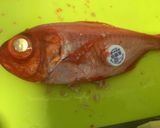 金目鯛の煮付け作り方1写真