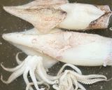 茹でヤリイカ作り方4写真