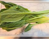 小松菜のジェノベーゼ作り方1写真