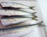 いわしのカレー風味のクリーム仕立て作り方1写真