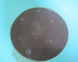簡単☆チョコムースケーキ作り方4写真