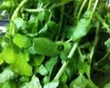 大根葉のごま油炒め♪作り方1写真