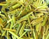 さつまいもの茎のきんぴら作り方4写真